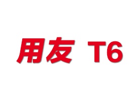 用友T6